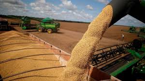 Vuelven las retenciones al campo: en tres días se agotó el cupo de liquidación al 0% - Diario Panorama Movil