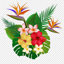 Check spelling or type a new query. Tropical Plants Png Images Pngegg
