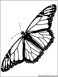 Pin By Tammie Smith On Market Day Butterfly Coloring Page Butterfly Drawing White Butterfly Tattoo