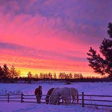 Tomahawk, alberta canada postal codes. Beautiful Alberta Sunrise Near Tomahawk Alberta Canada Beautiful Sunrise Sunrise Gorgeous Sunset