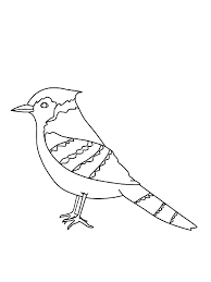 The vibrant colors are printed onto 9oz nylon carpet making the roundel soft to the touch. Blue Jay Coloring Pages Download And Print Blue Jay Coloring Pages