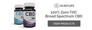 Also, when you vape, cbd gets into your body almost instantly, meaning you will that happens because oral bioavailability of cbd is 13 to 19%, while via inhalation it can go up to 45%. Cbd And Breastfeeding Hempure