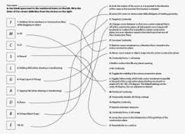 Back to science for kids. B Quiz Answers Document Transparent Png 800x618 Free Download On Nicepng