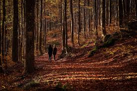 Kapital sa distrito ang domaniç sa turkeya. Fall Is In The Air Beautiful Autumn Views In Turkey S Domanic Mountains Daily Sabah