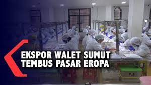 Secure cryptocurrency wallet for bitcoin, ethereum, ripple, litecoin, stellar and over 500 tokens. Ekspor Sarang Burung Walet Sumut Tembus Pasar Eropa Youtube