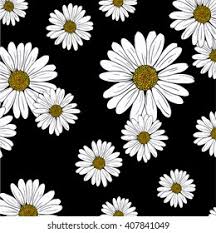 Maybe you would like to learn more about one of these? Daisy Floral Pattern Stock Vector Royalty Free 407841049