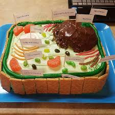 Maybe you would like to learn more about one of these? Making Your Own Plant Cell Model At Home Is This Easy By Kidadl