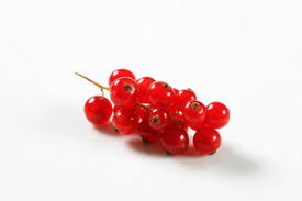 rote johannisbeeren einen likor mit minze selber machen