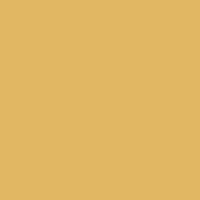 Behr Premium 1 Qt Bcp13 Vintage