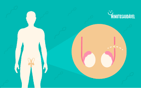 La vasectomía como método anticonceptivo tiene una efectividad de casi el 100% y es considerada. Vasectomia Cirurgia Tem Reversao Saiba Se Pode Falhar Ms