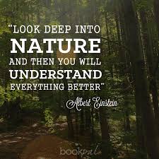Bookpal Bookpal Instagram Photos And Videos Powerful Words Nature Inspiration Albert Einstein