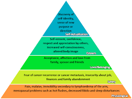 That's the thing about cancer. Healthcare Free Full Text Breast Cancer Exploring The Facts And Holistic Needs During And Beyond Treatment Html