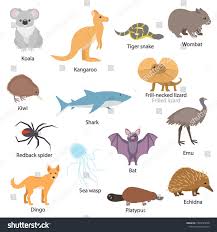Australian Animals Set With Titles Wildlife Of Australia Koala Kangaroo Tiger Snake Bat Wombat Wildlife Of Australia Australian Animals Australia Animals