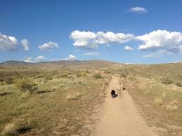 Really busy (bikes and hikers) which is to be expected on a holiday. Red Cliffs Trail 39 Running Trail Boise Idaho