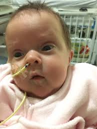 Street outlaws star tries new foods