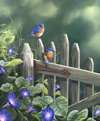 Eastern Bluebird Painting Morning Glory By Christopher Lyter Blue Bird Art Bluebird Painting Bird Art