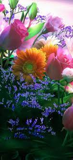 Find the best flower wallpaper on wallpapertag. Flower Wallpapers Hd For Phone