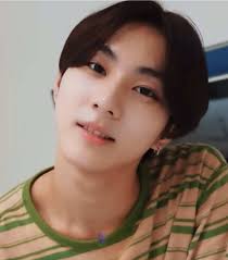 Engaging Sunwon AU Recommendations for ENHYPEN Fans