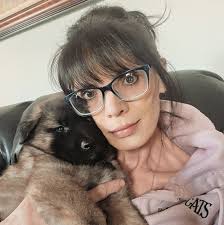 what is happening with the bees?