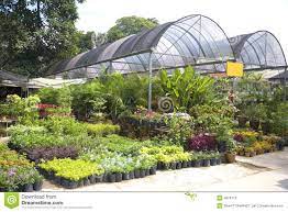 Image Of A Tropical Plant Nursery In Malaysia Plants Ikea Garden Tropical Nursery
