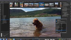 Hence, it is worthwhile to take the help of a photo organizing software for windows to manage your digital photos. 13 Free Alternatives Image And Photo Organizer For Microsoft Windows 10