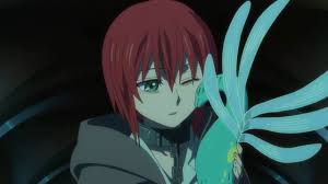 First Impressions Mahoutsukai No Yome Lost In Anime Ancient Magus Bride Anime Witch Craft Works