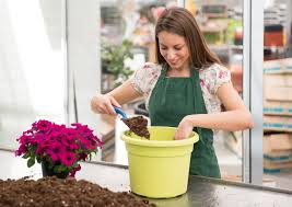 Garden soil is too dense and heavy, compacts easily, does not drain well. What Can I Use To Fill The Bottom Of A Large Planter Pots Planters More