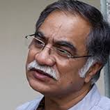 Cities: How Do Some Birds Thrive There? · Frontiers for Young Minds