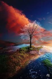 « previous 1 2.4 567 8.171 next ». 3d Frosted Tree Seascape Apple Iphone 4 Wallpaper Pinterest 3dwallpapers Smartphone Beautiful Landscapes Amazing Nature Nature Photography