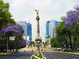 El gobierno de la cdmx trabajará con el ejército en la distribución de las dosis. Dreambuilder Mexico