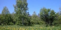 Következő állomásunk a túra utolsó szakaszán fekvő várgesztes. Vargesztes Kirandulas Vargesztesi Kortura Hangulatos Kirandulas A Vertes Melyen Kirandulastippek See More Ideas About Utazas Turak Uticelok Leslie Sauve
