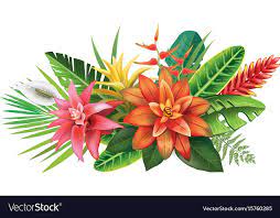 Arrangement From Tropical Flowers And Leaves Download A Free Preview Or High Quality Adobe Il Tropical Flowers Illustration Flower Drawing Flower Illustration