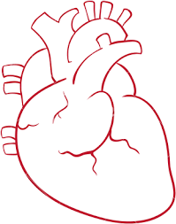 Mark out where the highlights will be. Download Heart Drawing Photography Draw A Heart Organ Full Size Png Image Pngkit