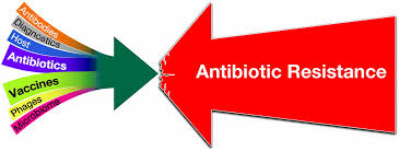 Antimicrobial resistance and the role of vaccines | PNAS