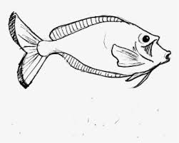 More images for simple fish drawing realistic » School Logo Image Easy Realistic Easy Snake Drawing Hd Png Download Transparent Png Image Pngitem