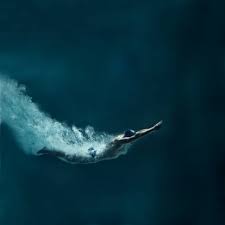 30 000 Underwater Swimmer Pictures Download Free Images On Unsplash