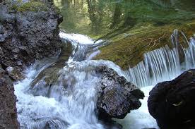 Van damme state park in little river is rated 7.6 of 10 at campground reviews. Van Damme State Park Park Open Space Phone Number Hours Photos 8125 N Highway 1 Sf Station