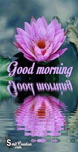 95 ($45.95/count) get it as soon as wed, jul 28. Good Morning Flower Gif Images Smitcreation Com