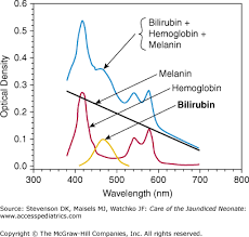 Chapter 3 Bilirubin And Its Various Fractions Care Of The