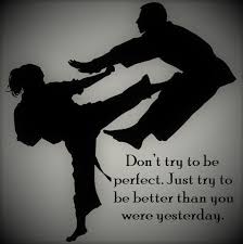 Tkdian Don T Try To Be Perfect Just Try To Be Better Than You Taekwondo Be Perfect Best