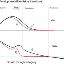Size At Age Growth Curves For Komodo Dragons Derived By