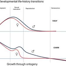 Size At Age Growth Curves For Komodo Dragons Derived By