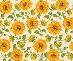 Pin On Cult Of Sunflowers