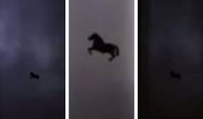 Dikisahkan pada tahun 70 silam, sebuah objek asing seperti pasukan kereta kuda terlihat terbang di langit judea, wilayah lokasi israel dan palestina kini berada. 19 Gambar Kuda Terbang Asli Paling Baru Lingkar Png