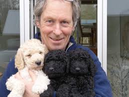 The Children's Bookshow