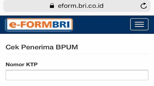 Bagi pelaku umkm bisa segera cek di eform.bri.co.id/bpum, untuk memastikan terdaftar atau tidaknya sebagai penerima bantuan langsung tunai (blt) umkm 2021 rp 1,2 juta. Link Eform Bri Bpum 2021 Rp 1 2 Juta Login Kemenkopukm Go Id Daftar Bpum Klik Eform Bri Co Id Bpum Tribun Pontianak