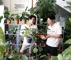 Let's face it, not all of us are born with a green thumb, and thanks to our gorgeous selection of artificial plants and trees you can add greenery to your home without fear. 15 Best Plant Shops In Singapore For Starting Your Indoor Garden
