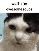 Awesomesauce Peng Tings GIF
