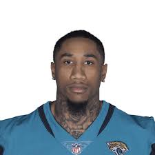 2016 NFL fumbles stats