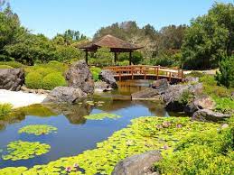 Beautiful Japanese Gardens At East Gosford Not To Be Missed Gosford Regional Gallery Gosford Traveller Reviews Tripadvisor